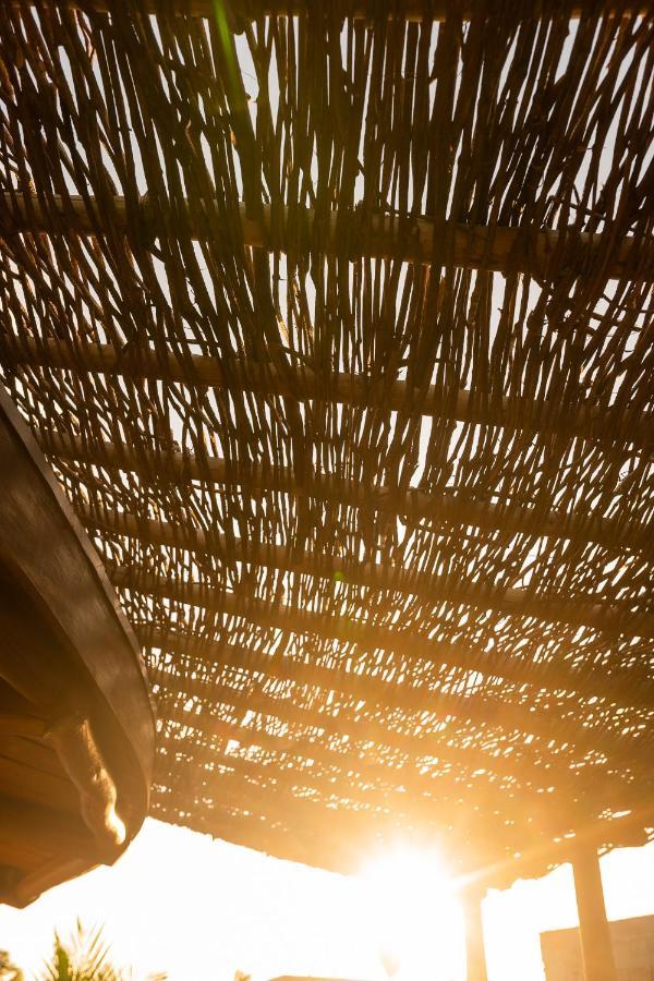 Eco Loft Maymuna: Seu Loft Ecologico Pertinho Da Praia Villa ปอร์โต เด เปดราส ภายนอก รูปภาพ