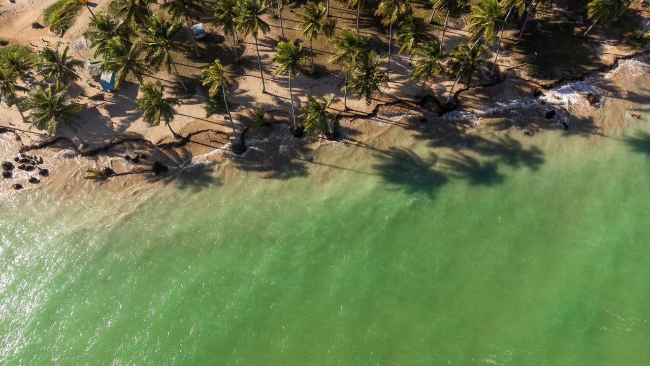 Eco Loft Maymuna: Seu Loft Ecologico Pertinho Da Praia Villa ปอร์โต เด เปดราส ภายนอก รูปภาพ