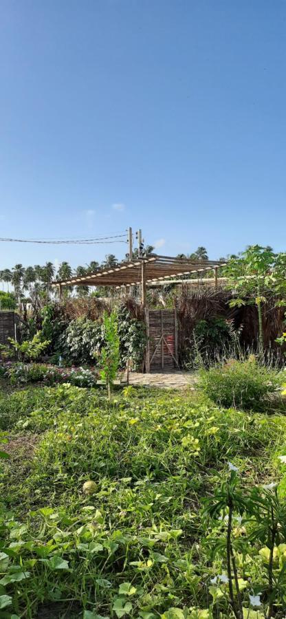 Eco Loft Maymuna: Seu Loft Ecologico Pertinho Da Praia Villa ปอร์โต เด เปดราส ภายนอก รูปภาพ